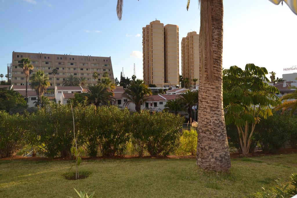 Paradero I Playa de las Americas (Tenerife) Exterior foto